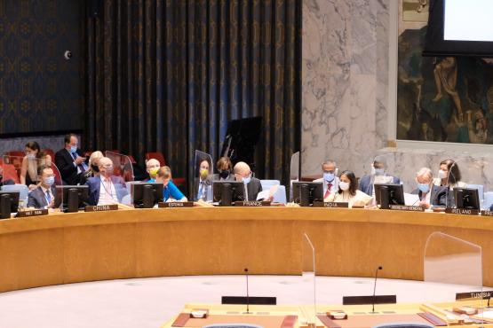 President Kaljuliad ÜRO Julgeolekunõukogu kohtumisel